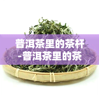 普洱茶里的茶杆-普洱茶里的茶杆多