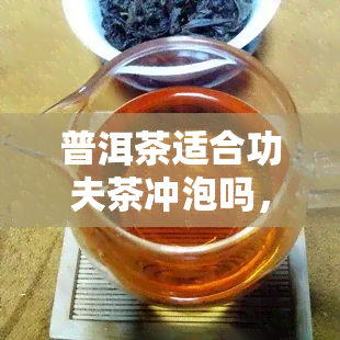 普洱茶适合功夫茶冲泡吗，探讨普洱茶是否适合功夫茶冲泡：一次深入的茶叶品鉴之旅