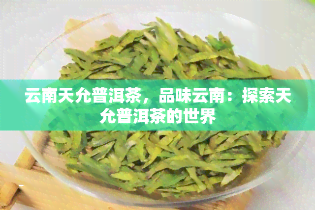 云南天允普洱茶，品味云南：探索天允普洱茶的世界