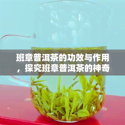 班章普洱茶的功效与作用，探究班章普洱茶的神奇功效与作用！