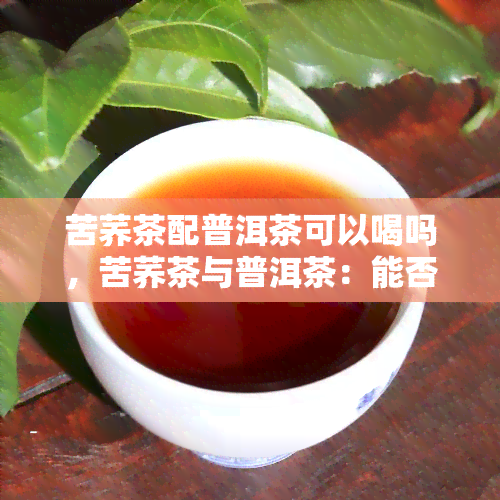 苦荞茶配普洱茶可以喝吗，苦荞茶与普洱茶：能否搭配饮用？