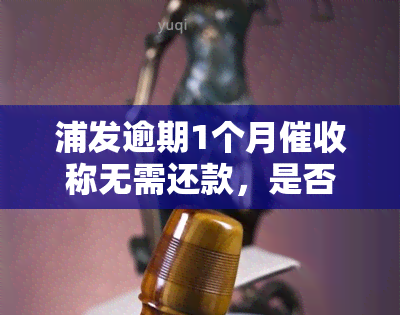 浦发逾期1个月称无需还款，是否真的可以免于坐牢？