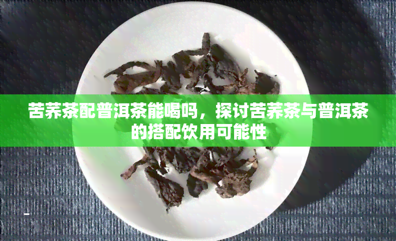 苦荞茶配普洱茶能喝吗，探讨苦荞茶与普洱茶的搭配饮用可能性