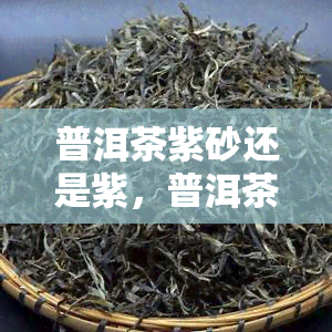 普洱茶紫砂还是紫，普洱茶与紫砂、紫：哪个更适合用来泡茶？