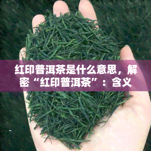 红印普洱茶是什么意思，解密“红印普洱茶”：含义与特点解析