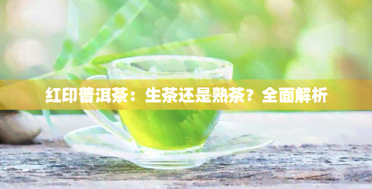 红印普洱茶：生茶还是熟茶？全面解析