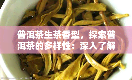 普洱茶生茶香型，探索普洱茶的多样性：深入了解普洱茶生茶香型的特点和魅力