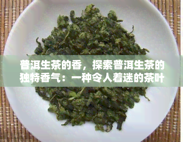 普洱生茶的香，探索普洱生茶的独特香气：一种令人着迷的茶叶体验