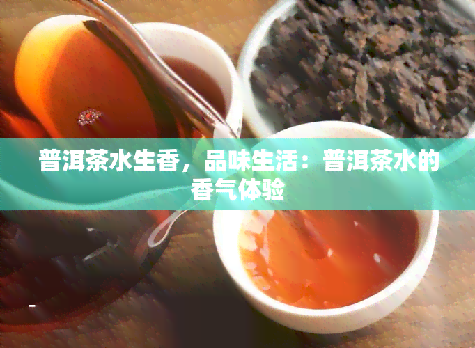 普洱茶水生香，品味生活：普洱茶水的香气体验