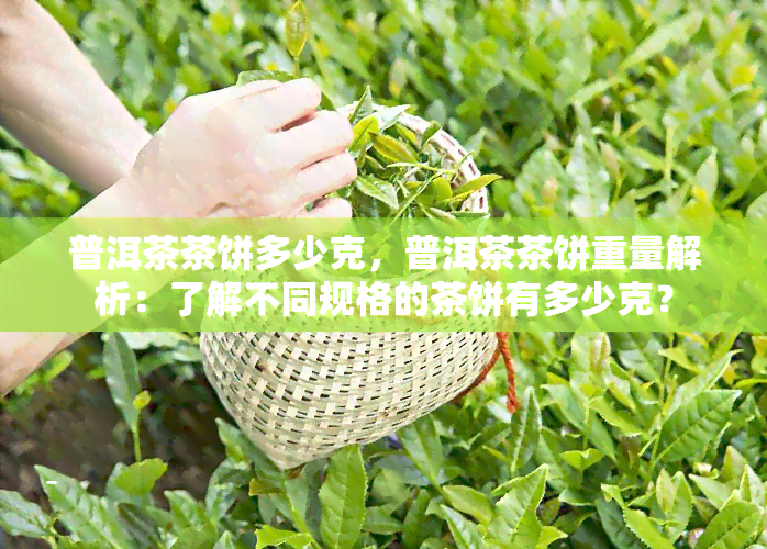 普洱茶茶饼多少克，普洱茶茶饼重量解析：了解不同规格的茶饼有多少克？