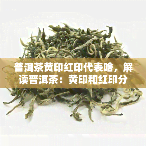 普洱茶黄印红印代表啥，解读普洱茶：黄印和红印分别代表着什么？