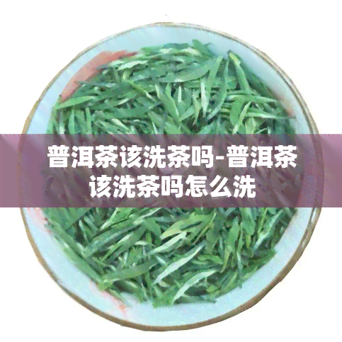 普洱茶该洗茶吗-普洱茶该洗茶吗怎么洗