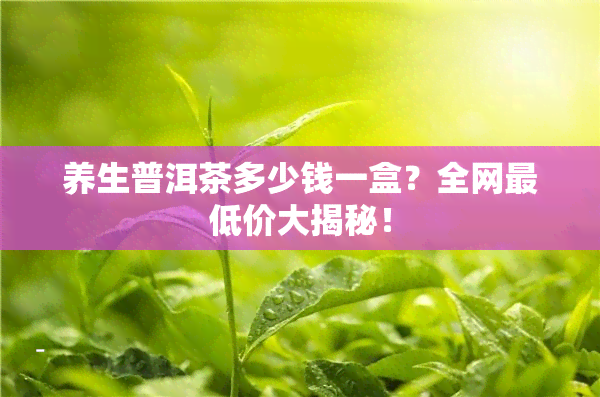 养生普洱茶多少钱一盒？全网更低价大揭秘！