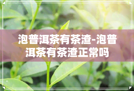 泡普洱茶有茶渣-泡普洱茶有茶渣正常吗