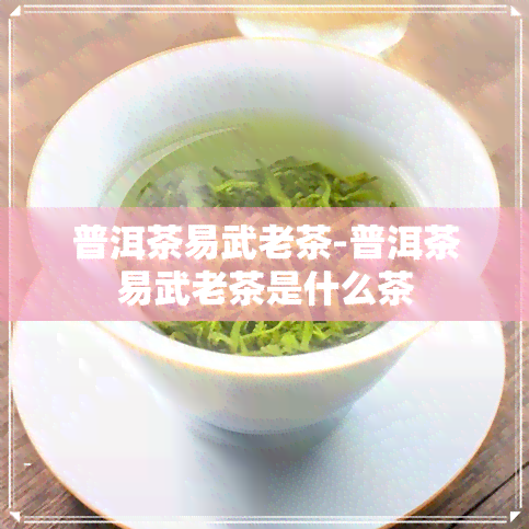 普洱茶易武老茶-普洱茶易武老茶是什么茶