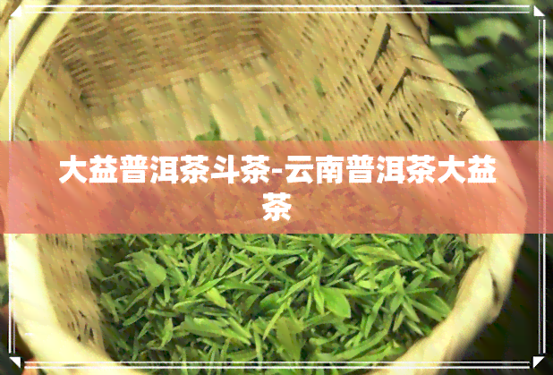 大益普洱茶斗茶-云南普洱茶大益茶