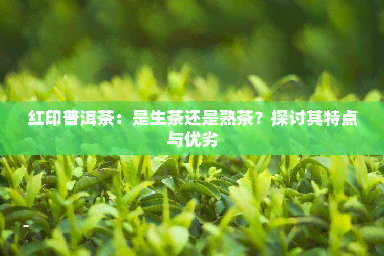 红印普洱茶：是生茶还是熟茶？探讨其特点与优劣