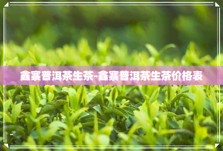 鑫寨普洱茶生茶-鑫寨普洱茶生茶价格表