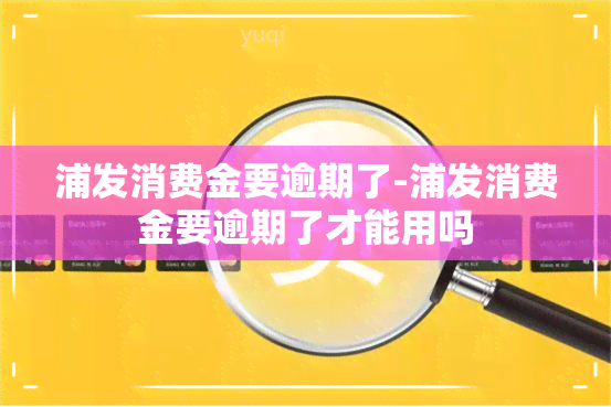 浦发消费金要逾期了-浦发消费金要逾期了才能用吗