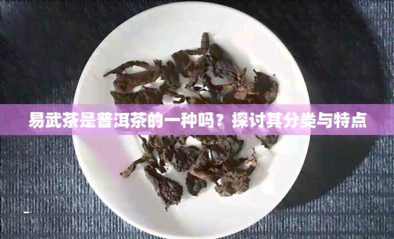 易武茶是普洱茶的一种吗？探讨其分类与特点