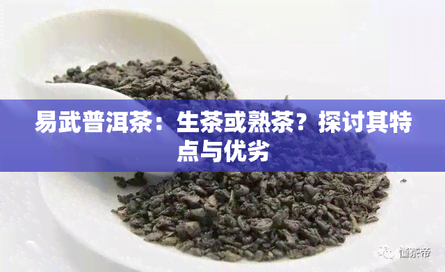 易武普洱茶：生茶或熟茶？探讨其特点与优劣