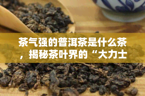 茶气强的普洱茶是什么茶，揭秘茶叶界的“大力士”：茶气强的普洱茶究竟是什么茶？