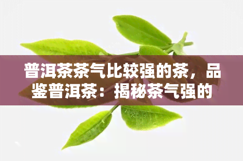 普洱茶茶气比较强的茶，品鉴普洱茶：揭秘茶气强的茶叶的魅力