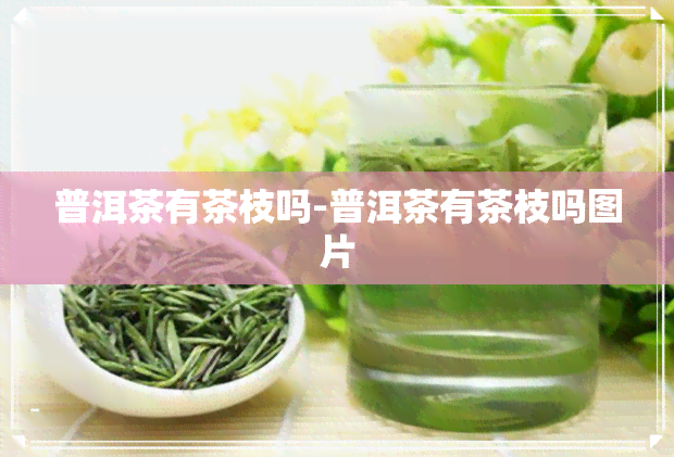 普洱茶有茶枝吗-普洱茶有茶枝吗图片