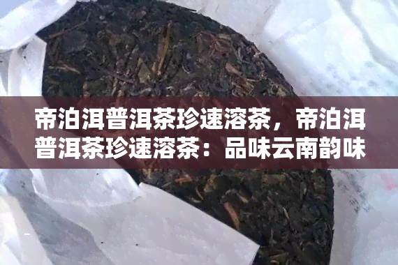 帝泊洱普洱茶珍速溶茶，帝泊洱普洱茶珍速溶茶：品味云南韵味的便捷选择