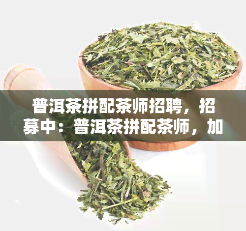 普洱茶拼配茶师招聘，招募中：普洱茶拼配茶师，加入我们的团队！