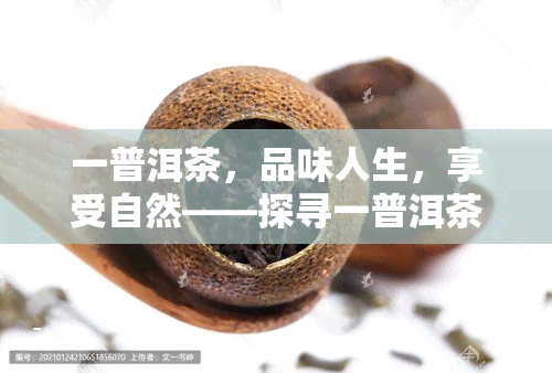 一普洱茶，品味人生，享受自然——探寻一普洱茶的魅力