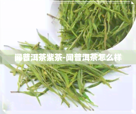 闻普洱茶紫茶-闻普洱茶怎么样