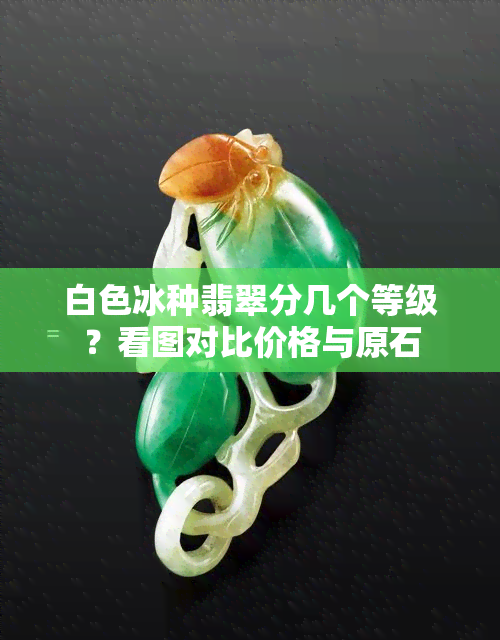 白色冰种翡翠分几个等级？看图对比价格与原石