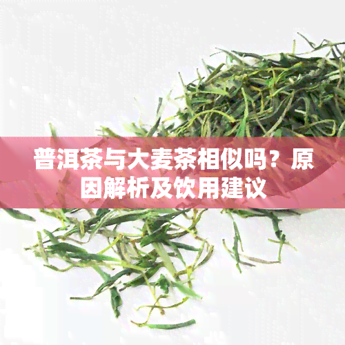 普洱茶与大麦茶相似吗？原因解析及饮用建议