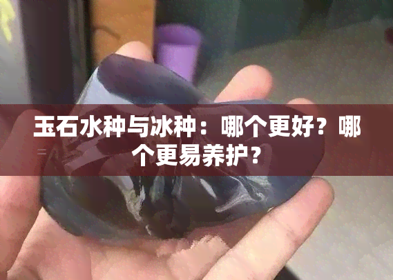 玉石水种与冰种：哪个更好？哪个更易养护？