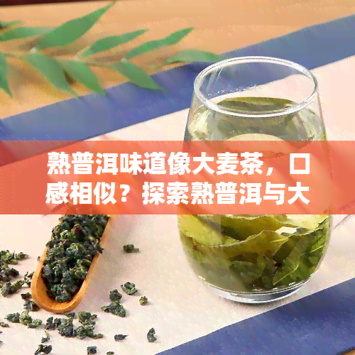 熟普洱味道像大麦茶，口感相似？探索熟普洱与大麦茶的奇妙联系！