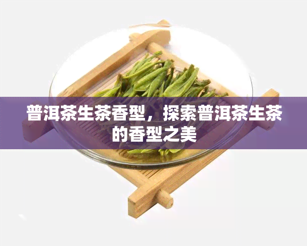 普洱茶生茶香型，探索普洱茶生茶的香型之美