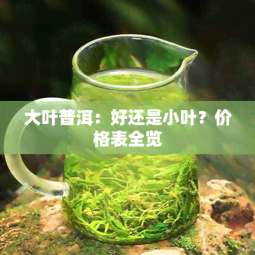 大叶普洱：好还是小叶？价格表全览