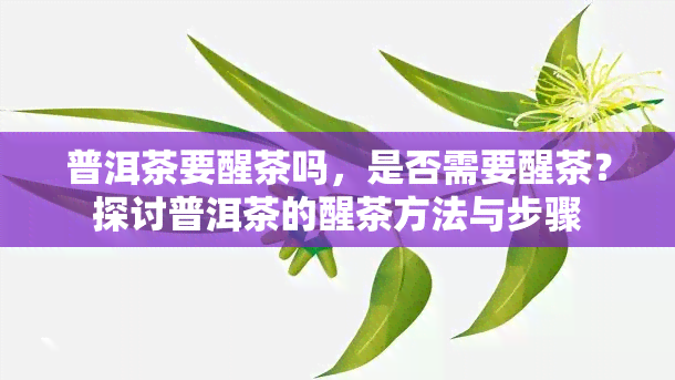 普洱茶要醒茶吗，是否需要醒茶？探讨普洱茶的醒茶方法与步骤