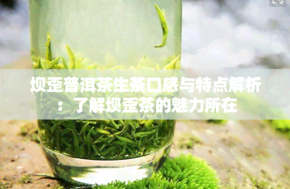 坝歪普洱茶生茶口感与特点解析：了解坝歪茶的魅力所在