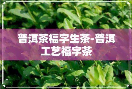 普洱茶福字生茶-普洱工艺福字茶