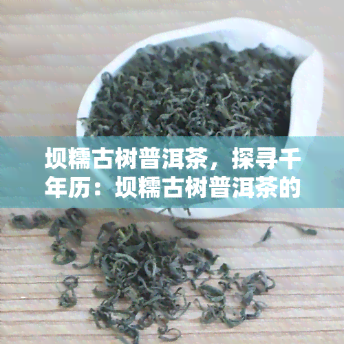 坝糯古树普洱茶，探寻千年历：坝糯古树普洱茶的魅力与故事