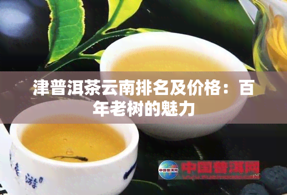 津普洱茶云南排名及价格：百年老树的魅力