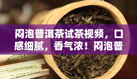 闷泡普洱茶试茶视频，口感细腻，香气浓！闷泡普洱茶试茶视频分享