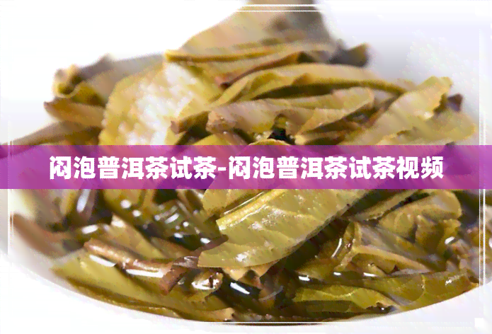 闷泡普洱茶试茶-闷泡普洱茶试茶视频