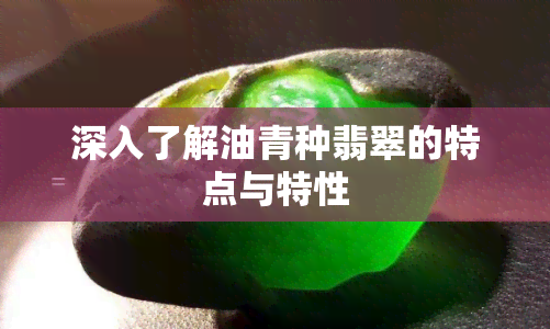 深入了解油青种翡翠的特点与特性