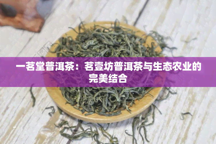 一茗堂普洱茶：茗壹坊普洱茶与生态农业的完美结合