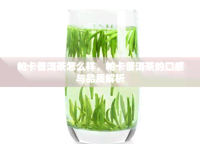 帕卡普洱茶怎么样，帕卡普洱茶的口感与品质解析