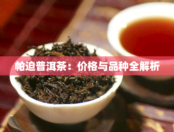 帕迫普洱茶：价格与品种全解析