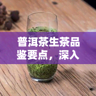 普洱茶生茶品鉴要点，深入解析：普洱茶生茶的品鉴要点